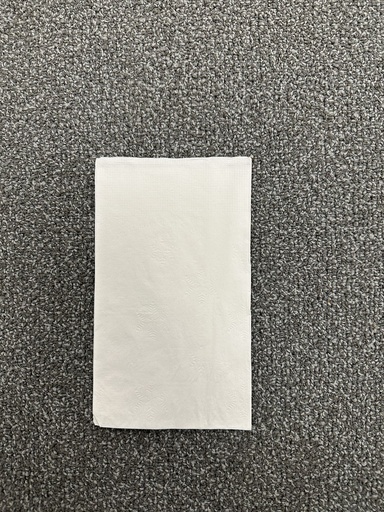 [TN101] WISDOM 6" x 13" White Tall-Fold Dispenser Napkin – 10,000/Case (Standard)