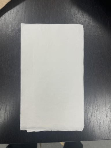 [DN101] WISDOM 6" x 13" White Tall-Fold Dispenser Napkin – 9,000/Case (Premium)